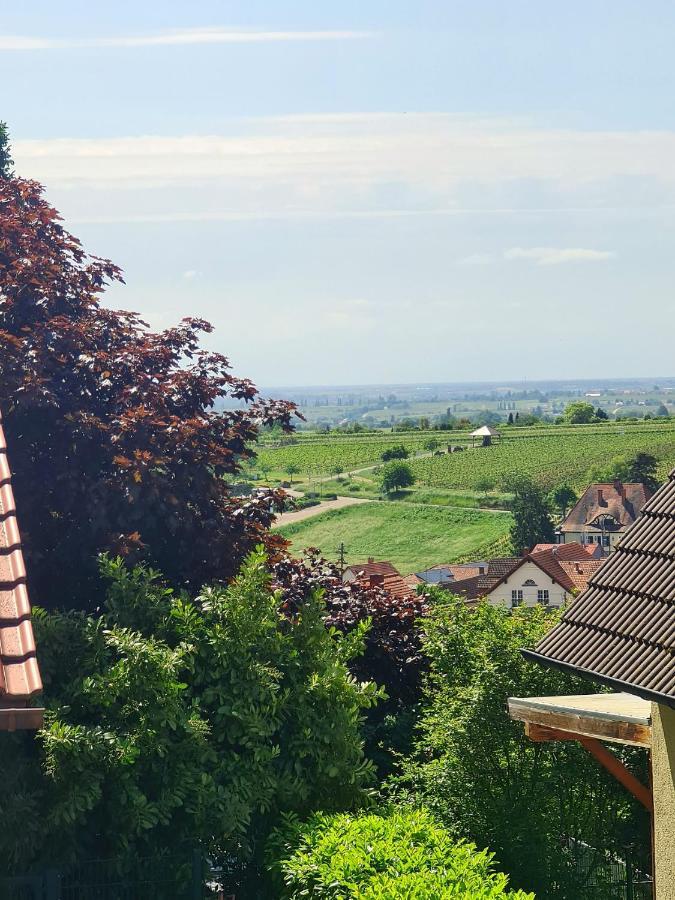 Pusteblume Mit Balkon, Neu Teilrenoviert *