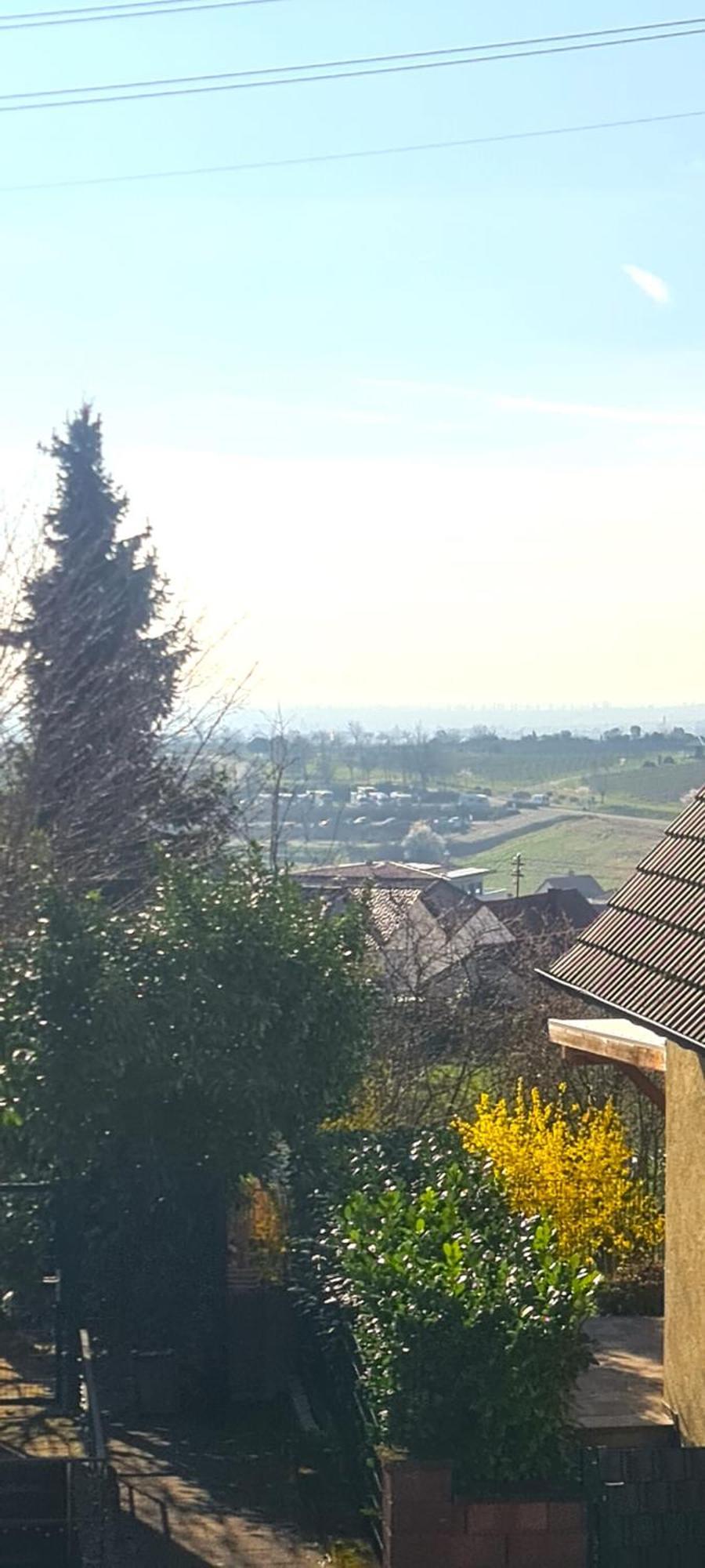 Pusteblume Mit Balkon, Neu Teilrenoviert