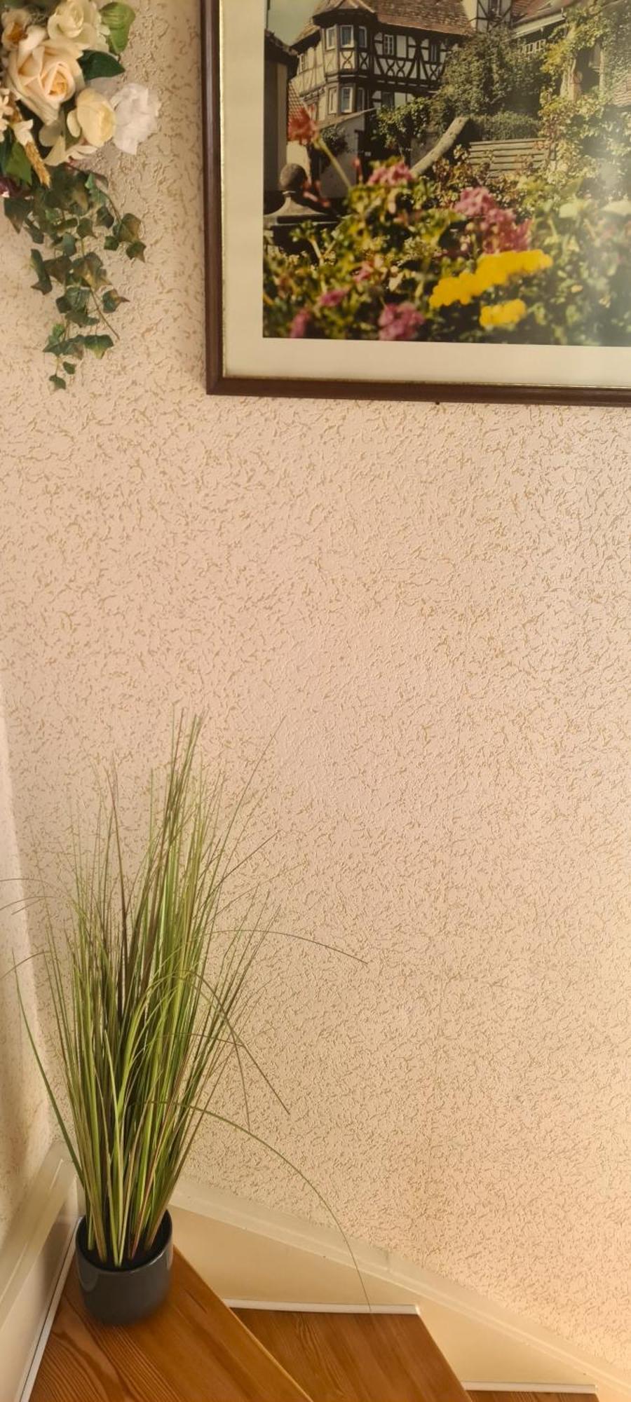 Pusteblume Mit Balkon, Neu Teilrenoviert Sankt Martin