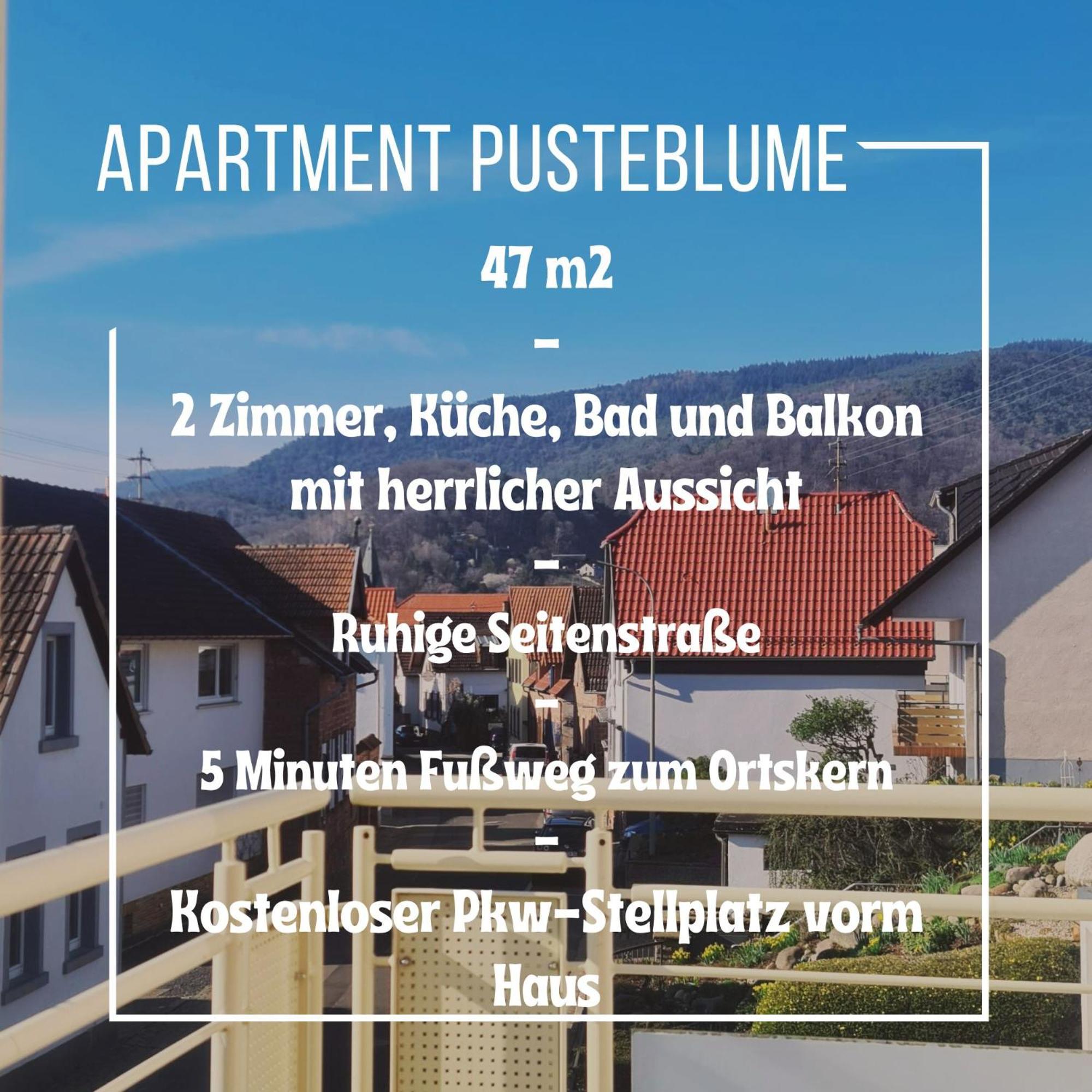 Pusteblume Mit Balkon, Neu Teilrenoviert * Sankt Martin